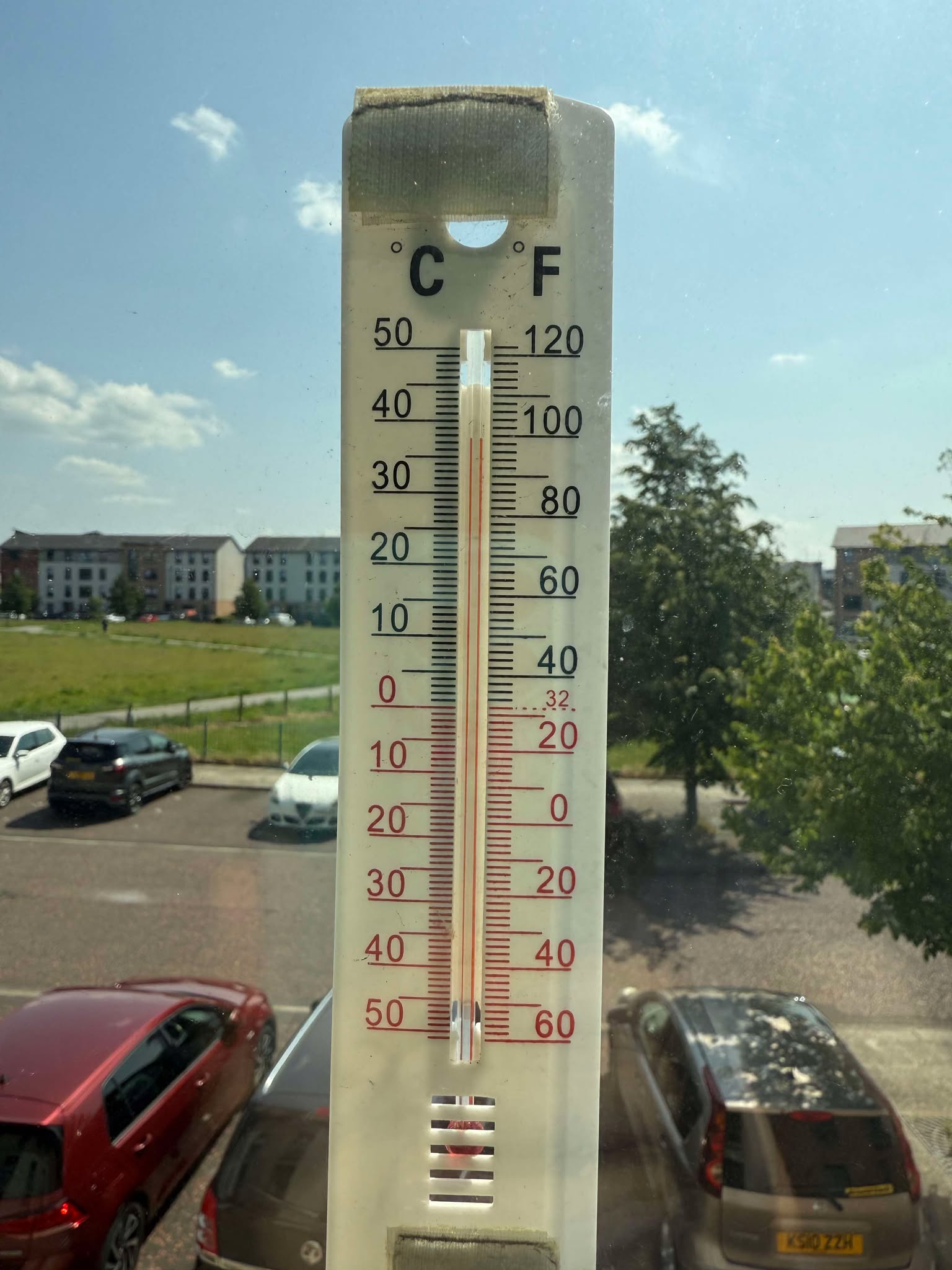 temp.jpg