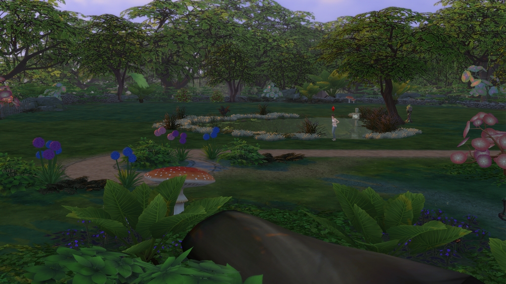 pond.jpg