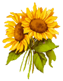 fgsumsunflowers.gif