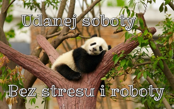 udanej-soboty1.jpg