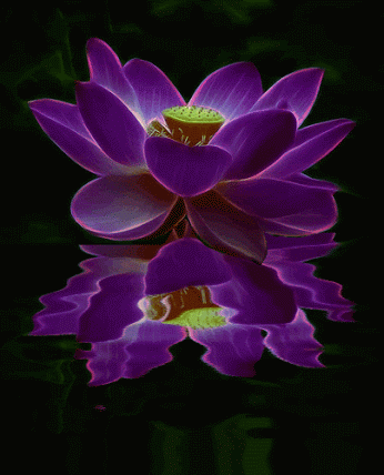 stylowi_pl_ogrod_19284141.gif