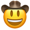 :79-face-cowboy-hat: